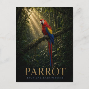 Postal Loro Selvas Tropicales Vida Silvestre ANIMAL