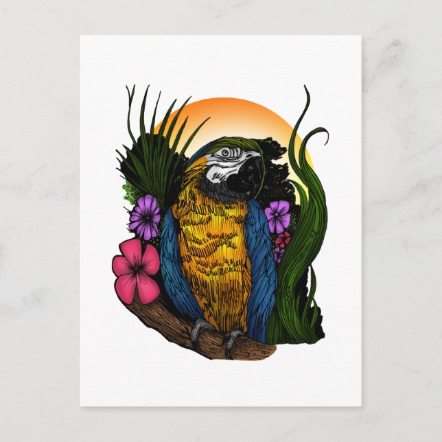 Postal Loro tropical (Anverso)