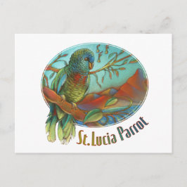 Postal Loro tropical de St Lucia