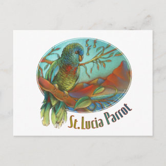 Postal Loro tropical de St Lucia
