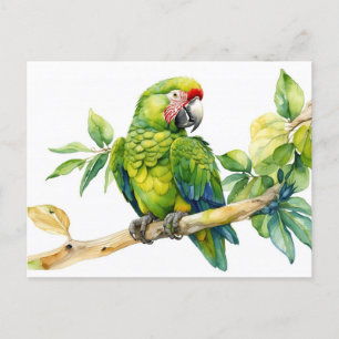 Postal Loro verde acuarela en una rama de árbol