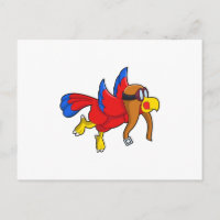 Loro volando como piloto