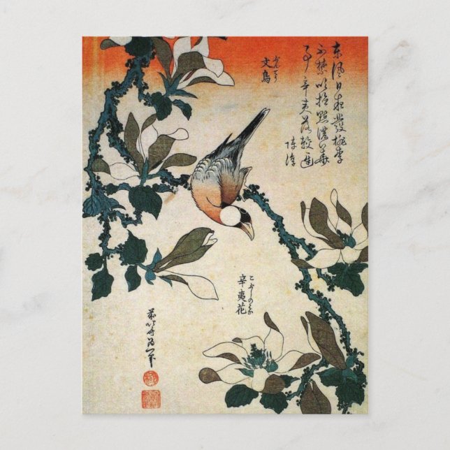 Postal Loro y flores (Anverso)