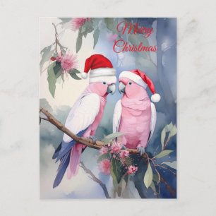 Postal Loros Cacatúa Rosados Sombrero de Santa Feliz Navi