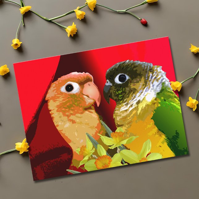 Postal Loros Conure de mejilla verde dulces en amor (Sweet green cheek conure couple valentine postcard)