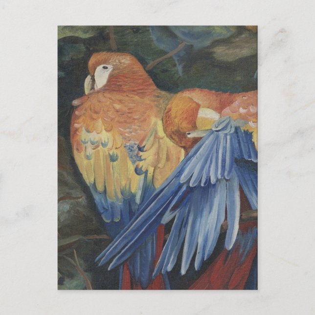 Postal loros naranjas (Anverso)