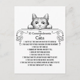 Postal Los 10 mandamientos de gatos divertidos