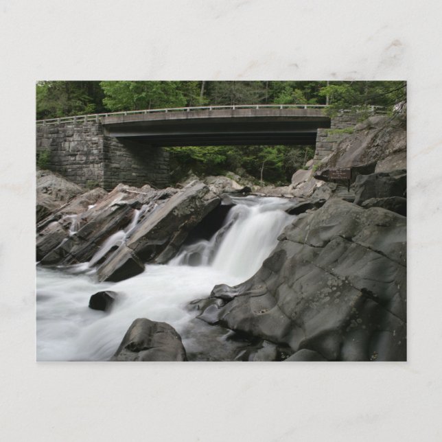 Postal Los adeptos (Anverso)