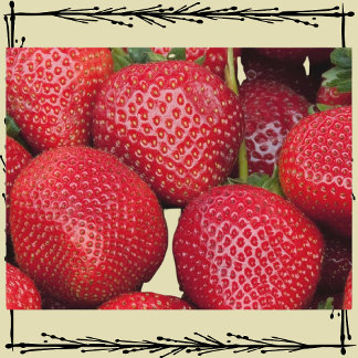 Postal Los agricultores comercializan fresas
