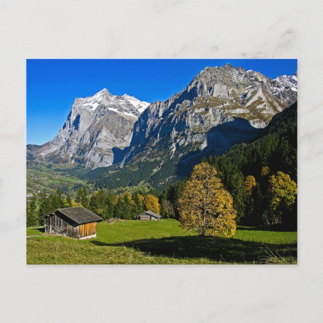 Postal Los Alpes, Suiza - Postcard (Anverso)