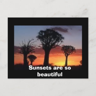 Postal Los atardeceres son tan hermosos