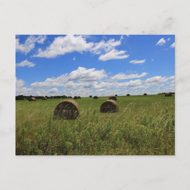 Postal Los balones de verano (Anverso)