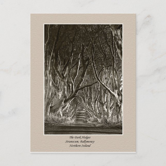 Postal Los bordes oscuros, Stranocum, Ballymoney NI posta (Anverso)