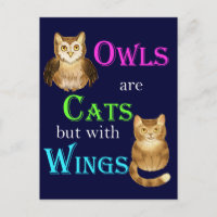 Los búhos son gatos con alas