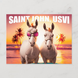 Postal Los burros de San Juan USVI en la playa Divertida