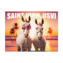 Los burros de San Juan USVI en la playa Divertida 