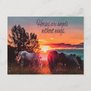 Postal Los caballos son ángeles sin alas