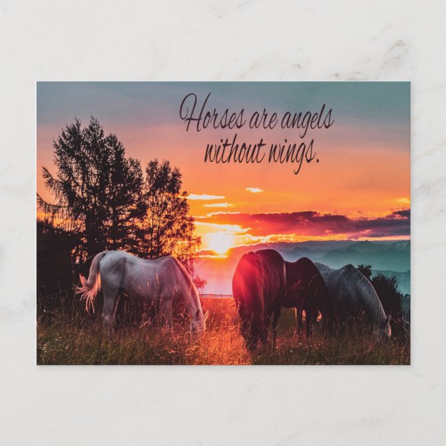 Postal Los caballos son ángeles sin alas (Anverso)