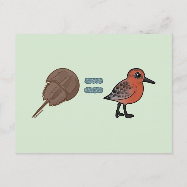 Postal Los cangrejos de herradura son vida (Anverso)