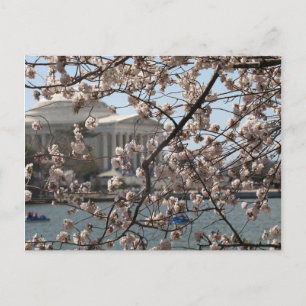 Postal Los cerezos en flor en Washington DC