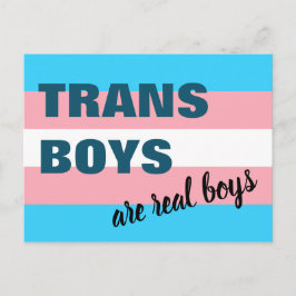 Postal Los chicos trans son la bandera transgénero de los