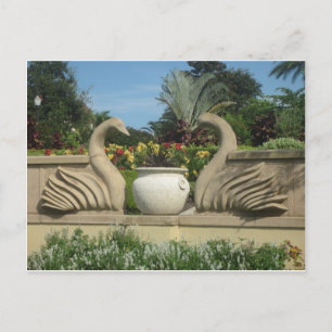Postal Los cisnes protegen los jardines de Hollis