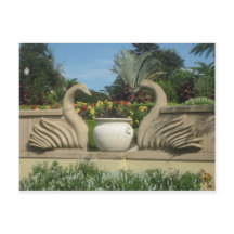 Los cisnes protegen los jardines de Hollis