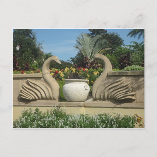 Postal Los cisnes protegen los jardines de Hollis (Anverso)