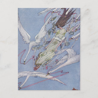 Postal Los cisnes salvajes