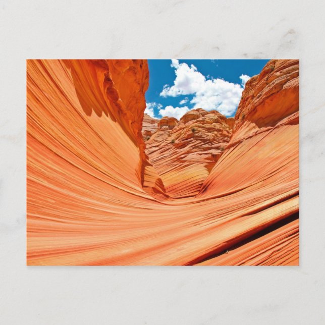 Postal Los Colores de la Ola (Anverso)