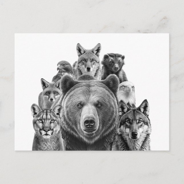 Postal Los depredadores de los animales de Woodland en No (Anverso)