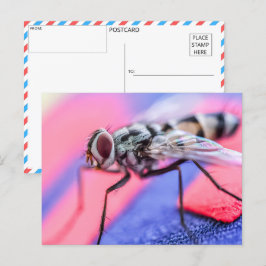 Postal Los detalles intrincados de una mosca doméstica