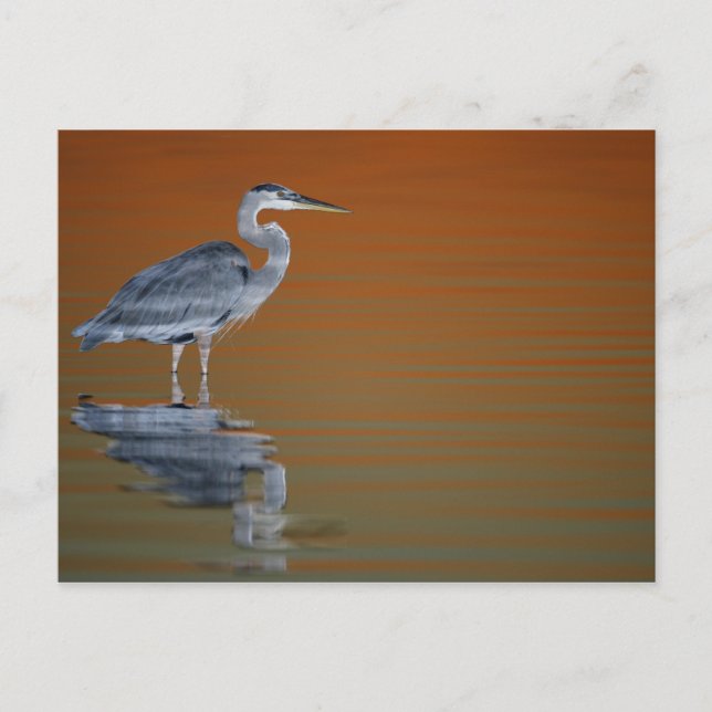 Postal Los E.E.U.U., la Florida, St Petersburg, Fort De (Anverso)