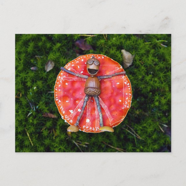 Postal Los elfos de maíz como Leonardo tendidos sobre el  (Anverso)