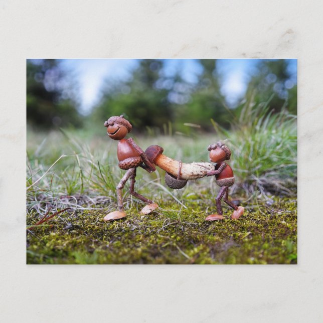 Postal Los elfos de maíz con hongos grandes en la canasta (Anverso)