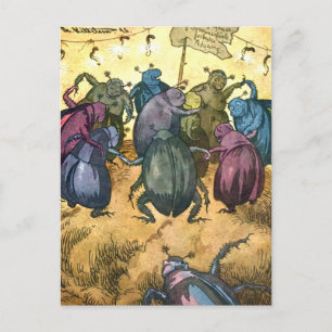 Postal Los escarabajos celebran el verano medio