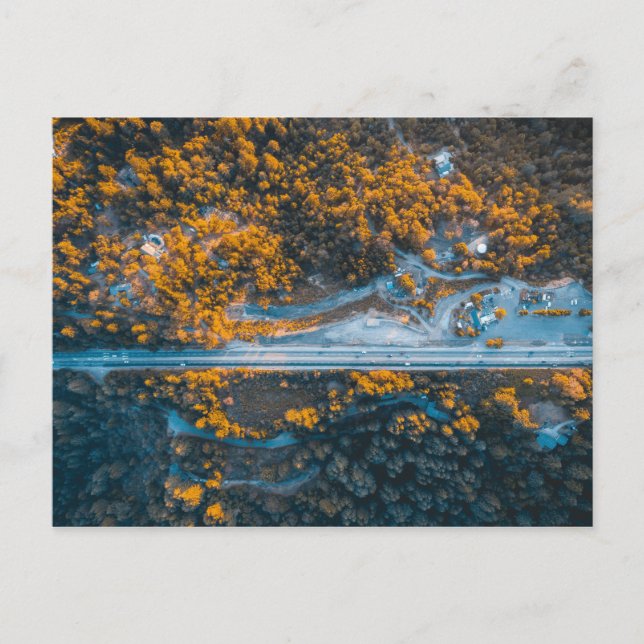 Postal Los Gatos, Estados Unidos (Anverso)