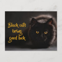 Los gatos negros traen buena suerte/ personalizado