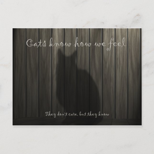 Postal Los gatos saben cómo nos sentimos (Anverso)