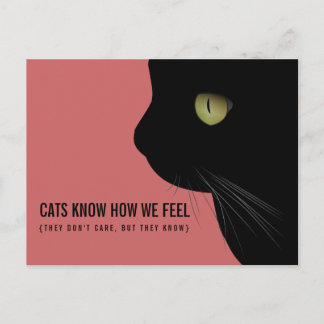 Postal Los gatos saben cómo nos sentimos graciosos con la