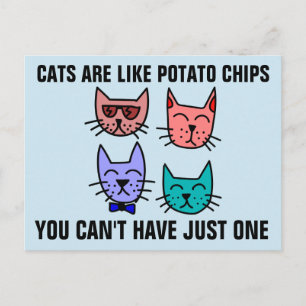 POSTAL LOS GATOS SON COMO LOS CHIPS DE POTATO QUE NO PUED