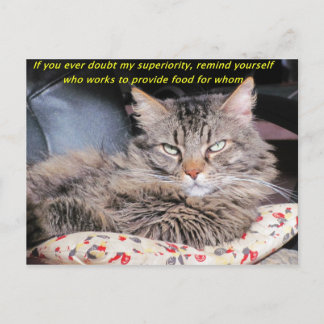 Postal Los gatos son memes superiores