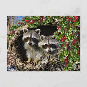 Postal "Los gemelos Berry Holly"