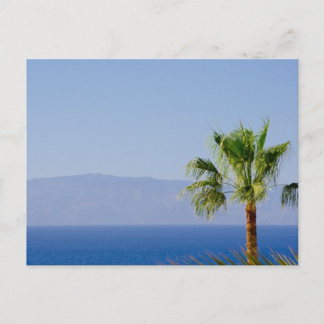 Postal Los Gigantes, Tenerife (Anverso)