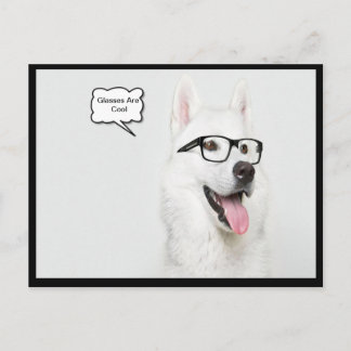 Postal Los Glasses Son Perros De Guay