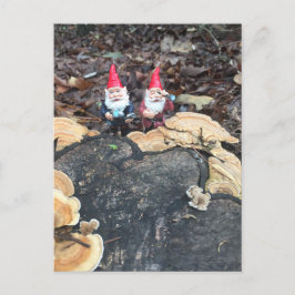 Postal Los gnomos del hongo
