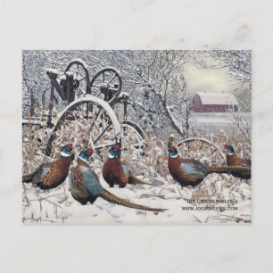 Postal "Los intocables" de Joshua Spies