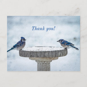 Postal Los lados opuestos Painteramente Gracias Postcard