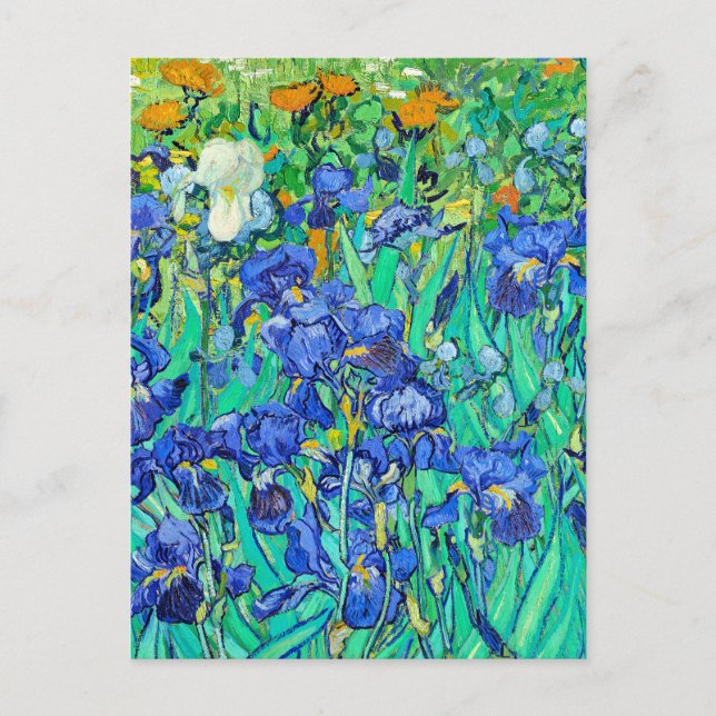 Postal Los lirios de Van Gogh  (Anverso)