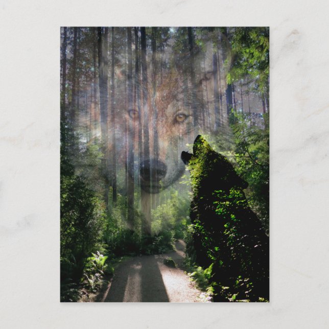 Postal Los lobos se fueron (Anverso)